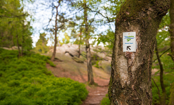 Markierungszeichen am Baum