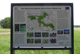 Infotafel an der Düsterdieker Niederung