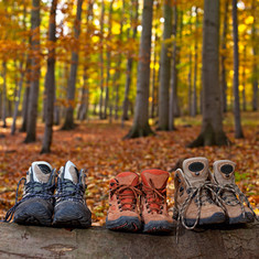 Drei Paar Wanderschuhe im Teutoburger Wald 